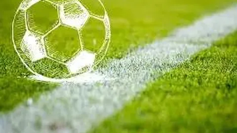 “体育界需警惕饭圈影响，体育明星成就源自实力”