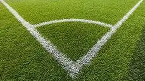 135期晨光大乐透预测：号码奇偶、大小、三区比例分析