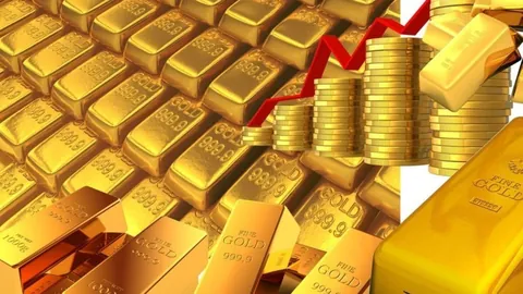 我国赛季，花蕾悄然绽放